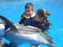 delfin medál - delfin terápia