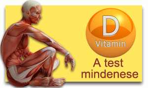 d3 k2 vitamin biocom