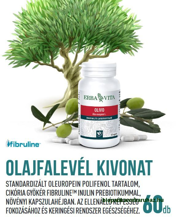 Olajfalevél kapszula - prebiotikummal